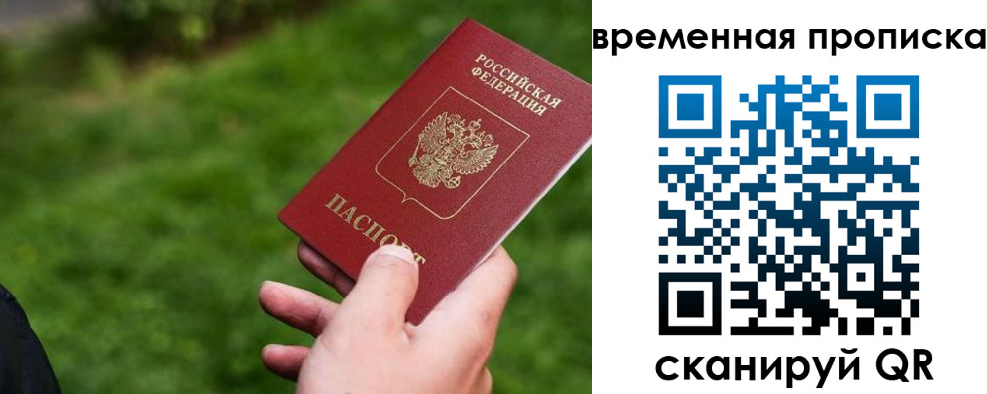 прописка 2025 в Зеленогорске